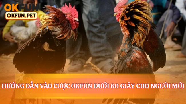 Hướng Dẫn Vào Cược Okfun Dưới 60 Giây Cho Người Mới